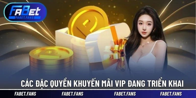 Các đặc quyền khuyến mãi vip đang triển khai