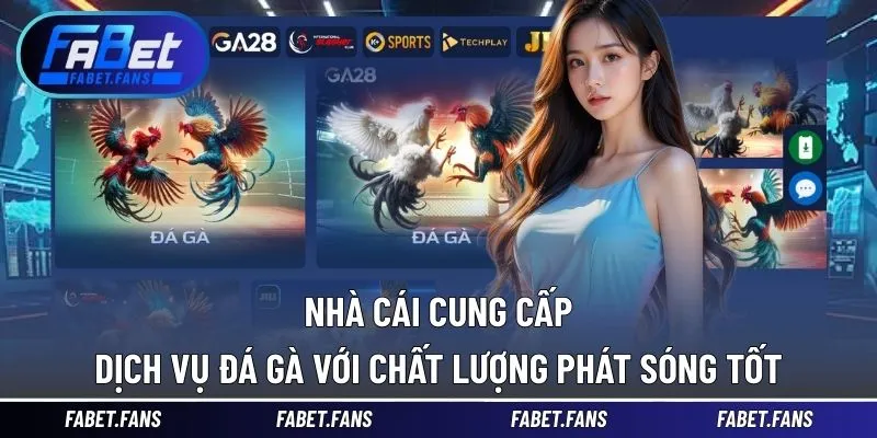 Nhà cái cung cấp dịch vụ đá gà với chất lượng phát sóng tốt